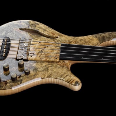 ベース Mayones Patriot MR Mayones Patriot MR Fretless BB 5 | Reverb