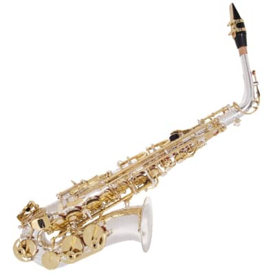 Odyssey Premiere 'Eb' Alto Saxophone Outfit ~ Silver/Gold image 1