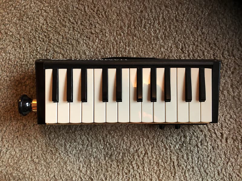 Hammond BB 24 Bass Melodica Reverb