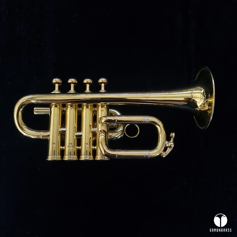 Henri Selmer Paris ` Maurice Andre ` piccolo Bb / A trumpet Reverb