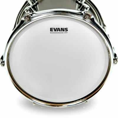 Evans UV1 Coated Drum Head - 14" image 5