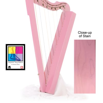 Flatsicle Harp w/ Book & DVD - Pink image 1