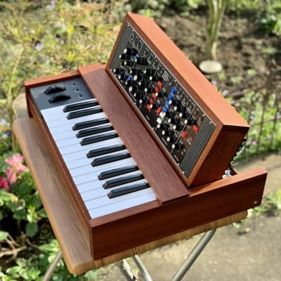 Behringer Mini Model-D im Holzgehäuse mit eingebautem Alesis Keyboard 2021 image 4