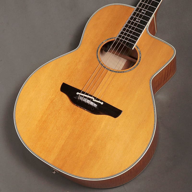 Takamine DSP615 VN [11/17]