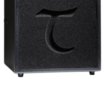 Tanglewood TW6 Acoustic Amplifier for sale