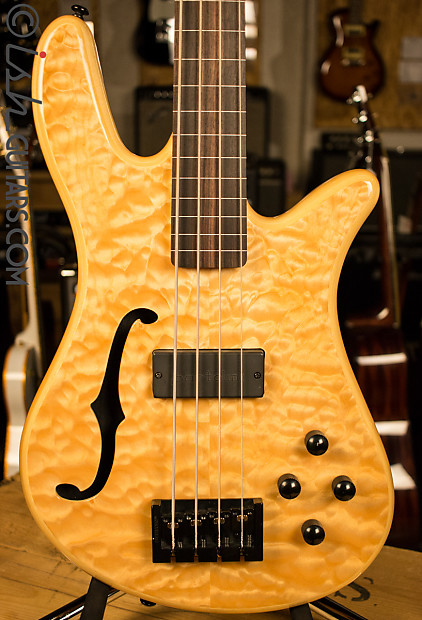 Spector fretless outlet