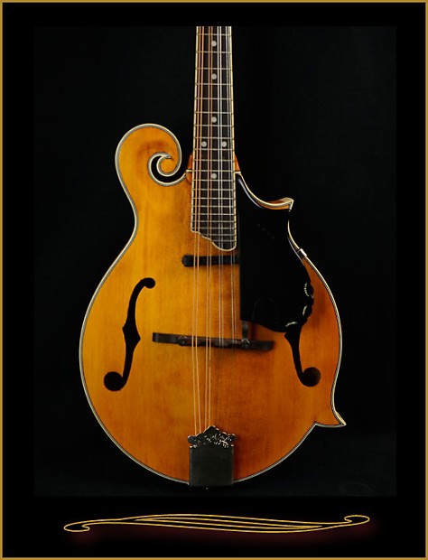 Epiphone on sale mm50e mandolin