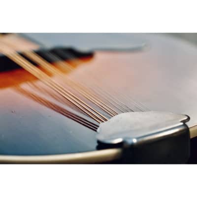 1938 Levin Model 370 12-string mandolin sunburst image 11