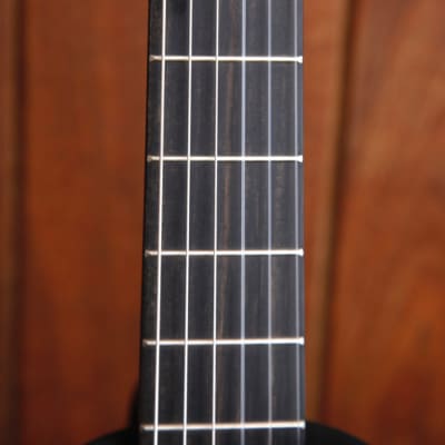 Furch GNc 2-CW Nylon Cutaway VTC Acoustic-Electric Guitar image 4