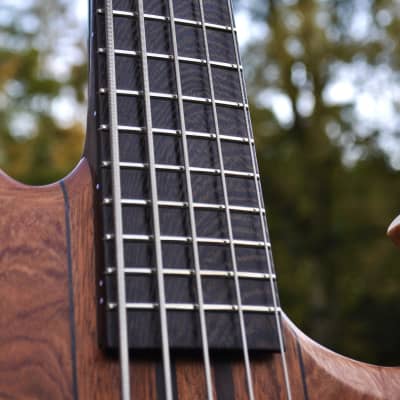Manton Customs Ascendant 5 String Bass - African Rosewood, Nordstrand Sting Ray Pickup image 10