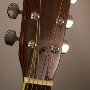 Fender F-65 激レア 1974年日本製(フジゲン) s-l1600.jpg