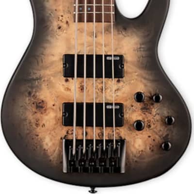 ESP LTD D-5 D Series 5-String Bass Guitar, Black Natural Burst Satin image 1