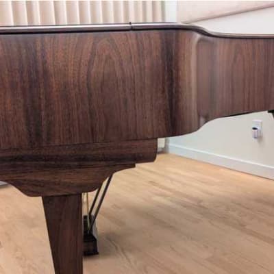 Unique Hamburg Steinway & Sons O Grand Piano Fully Restored from 1906 image 3