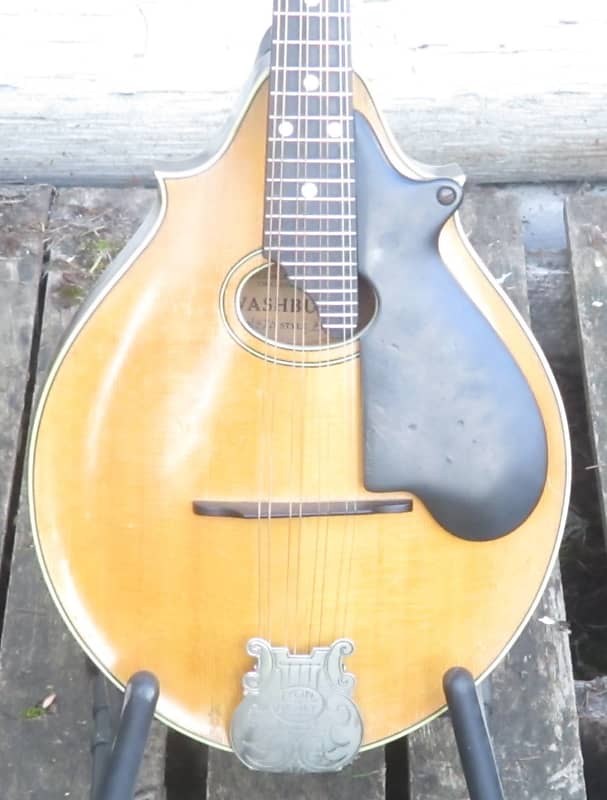 Lyon & Healy Style B mandolin, 1924 image 1