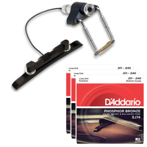 Fishman PRO-M20-0MA Classic Series M-200 Pro Mandolin Piezo Ceramic Pickup  M200 | Reverb