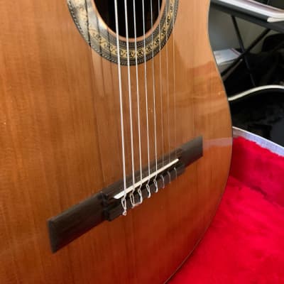 Daniel Mendes Eight String Guitar 2018 Cedar / Brazilian Rosewood image 9