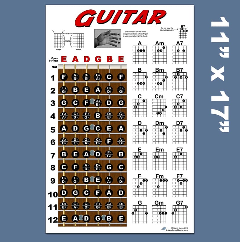  Mini Bass Guitar Chord Chart with 56 Chords - Laminated Bass  Guitar Chord Poster for Beginners and Musicians - Music Theory Poster -  Bass Guitar Accessories - 8.5 x 11 