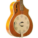 Gold Tone DOJO Acoustic Body Resophonic 5-String Banjo