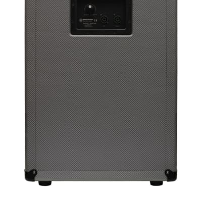 Darkglass Electronics DG212NE 1000 Watt 2X12" Bass Cabinet Authorized Dealer image 2