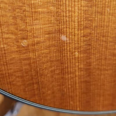 Fender DG-14S/12 12-String Acoustic Natural New Strings image 11