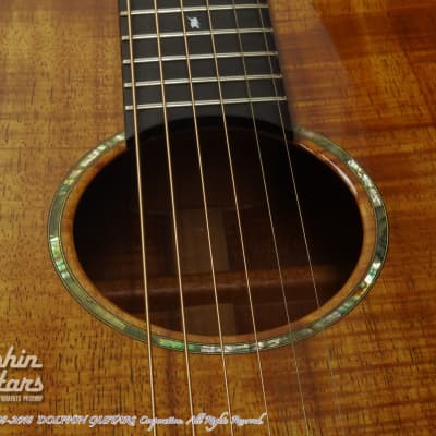 Pegasus Guitars  000 (Hawaiian Koawood) 2000 [Pre-Owned] - Demo Video image 12