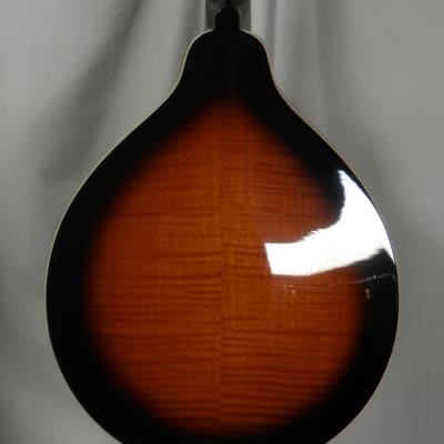Gold Tone GM-50+: A-Style Mandolin with Pickup and Bag High Gloss Tobacco Sunburst image 8