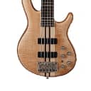 Cort A5PLUSFMMHOPN Artisan Series Double Cutaway 5PC Maple Neck 5-String Electric Bass Guitar
