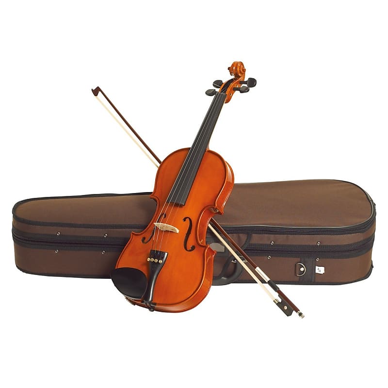 美品★バイオリン　The Stentor Student ST　４/４ Stentor Student I 4/4 Violin Outfit | Reverb