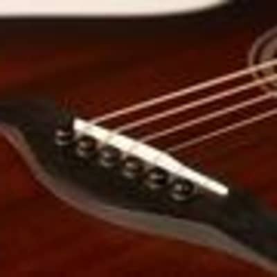 Taylor Ebony Acoustic Guitar Bridge Pins image 2