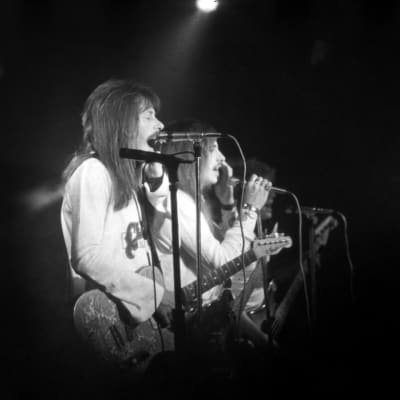 Fender Telecaster 1968 Paisley image 7