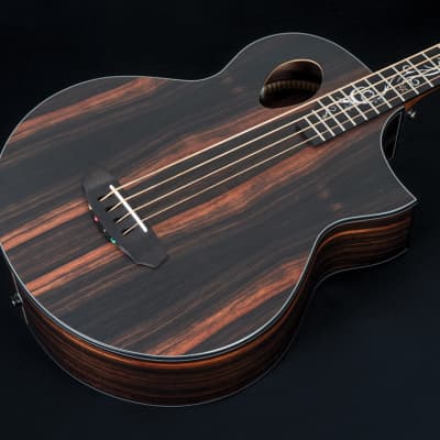 Michael Kelly Dragonfly 4 Port Java Ebony Acoustic Bass, Macasar Ebony for sale