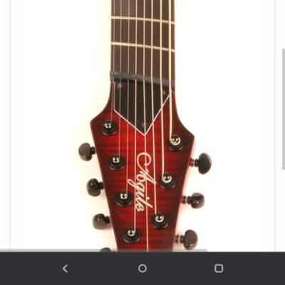 Agile 10 String Fan Fret Guitar w/ stainless frets & Fishman