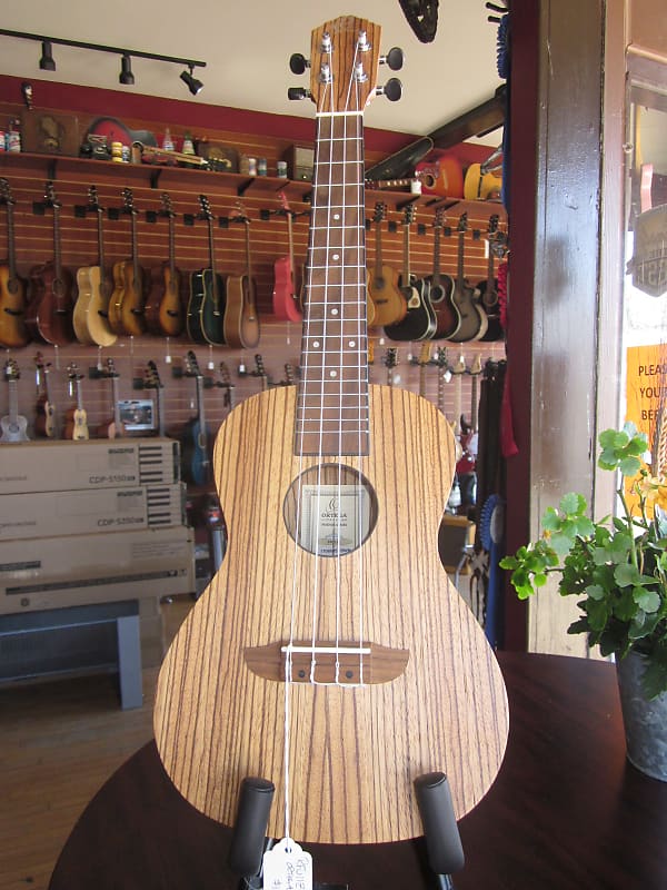 Ortega RFU11Z Timber Friends Series Concert Ukulele Zebrawood