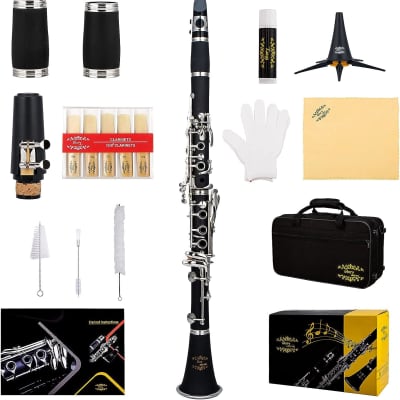 Professional Ebonite Bb Clarinet with 10 Reeds, Stand, Hard Case, Cleaning Cloth, Cork Grease, Mouthpiece Brush and Pad Brush, Black image 1