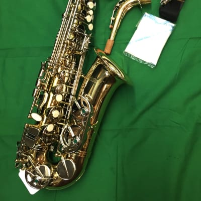 Selmer SAS-201 Student Alto Saxophone-New Old Stock-Never Played-Extras Included image 2