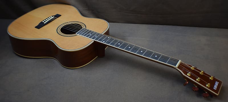Tanara TGC-120ENT  Acoustic/Electric Guitar 2020's Natural Gloss Finish image 1