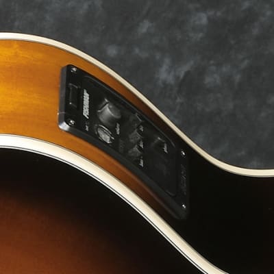 Ibanez JSA5 Joe Satriani Signature Acoustic/Electric Guitar, Vintage High Gloss Sunburst Finish image 5