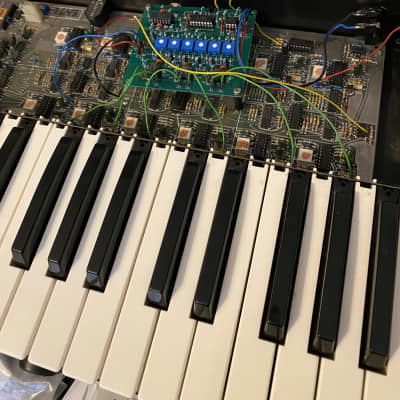 Sequential Circuits Prophet 600 w/GliGli + Panoroma Mods image 8