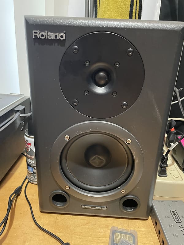 Roland DS 50 A SPEAKER MONITOR PAIR | Reverb