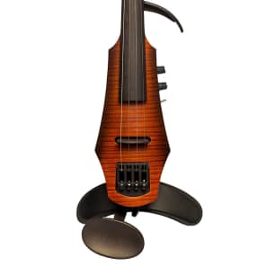 NS Design NXT4 Double Bass | Reverb