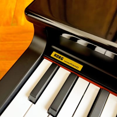 Korg MicroPiano made in Japan - Mini Piano Keyboard 61 Key! Very great professional sounds! With original box, packaging, manual, p.supply! Brand New! Impossible to find! image 8