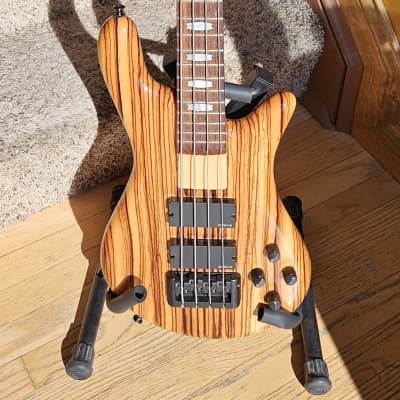 超可爱 ベース Spector Bass ReBop 4st ベース - bdearthworks.co.nz