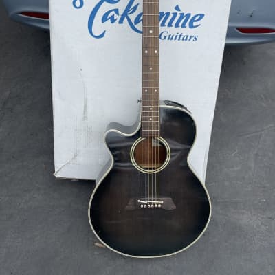 Takamine PT100SP | Reverb