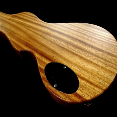 Rukavina 6 String Ripple Lapsteel Guitar - 22.5" Scale Length image 3
