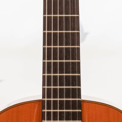 Daion DC-300 Classical Guitar image 9