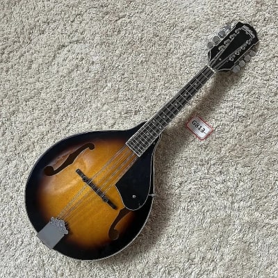 Washburn 8 String Mandolin Solid Spruce Top, Laminated Maple Back&Sides, Rosewood Fingerboard Neck for sale