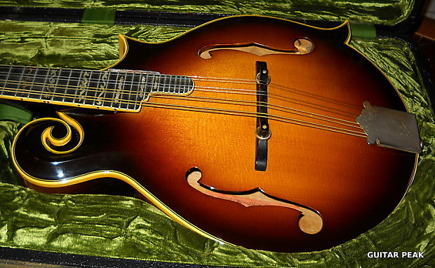Aria pro ii mandolin top