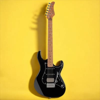 GrassRoots 葵モデルギター G-A-74-A3 GrassRoots G-A-74-A3 BLK