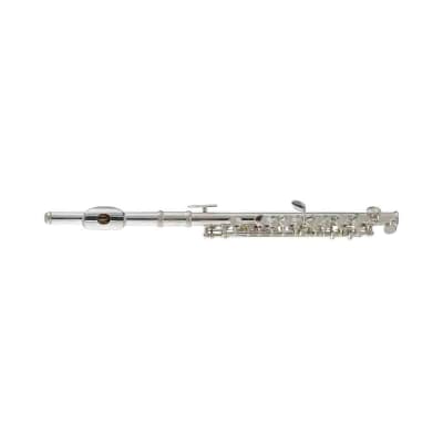 Stagg WS-PF211S Student C Piccolo with Case