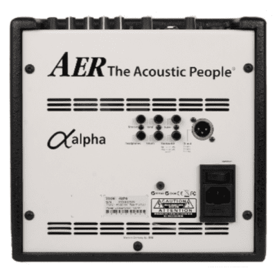 AER Alpha | 2 chnl 40-Watt 1x8" Acoustic Guitar Combo. New with Full Warranty! image 8